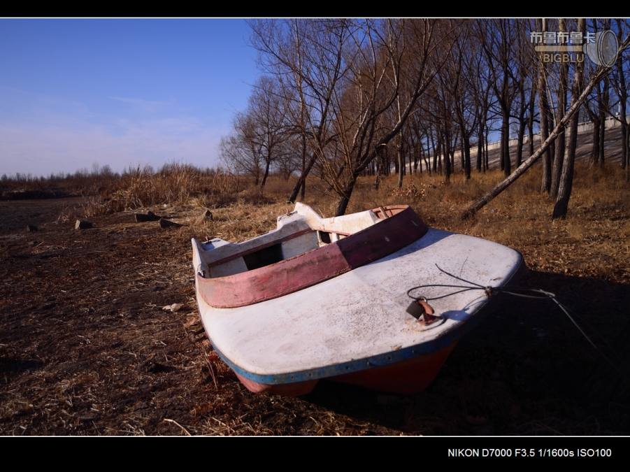 DSC_2937.jpg