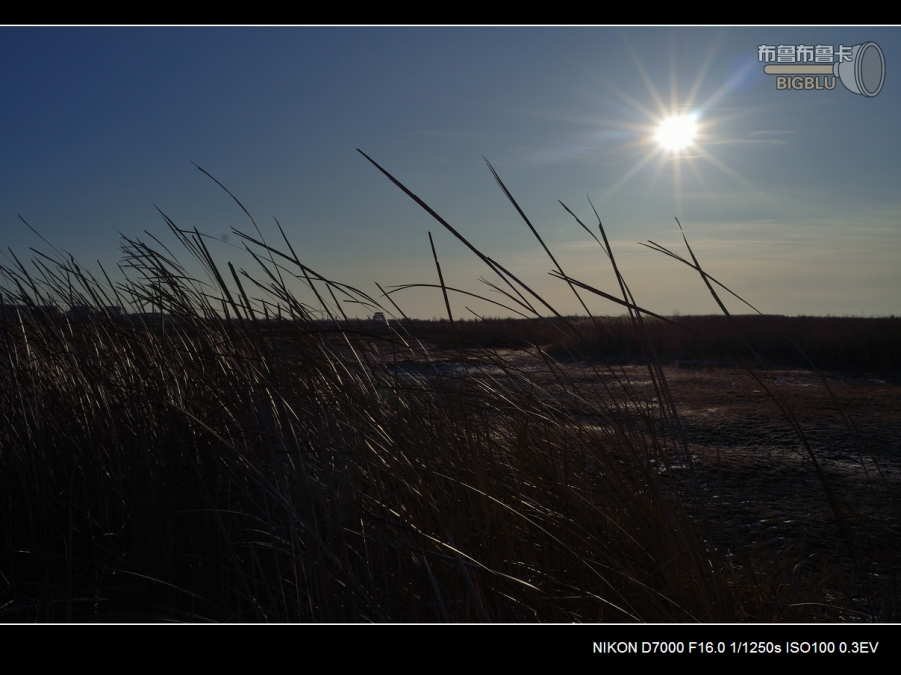 DSC_2961.jpg