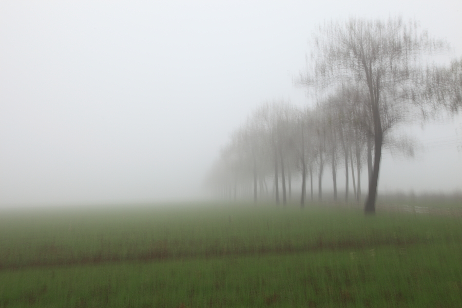 _MG_0221.JPG
