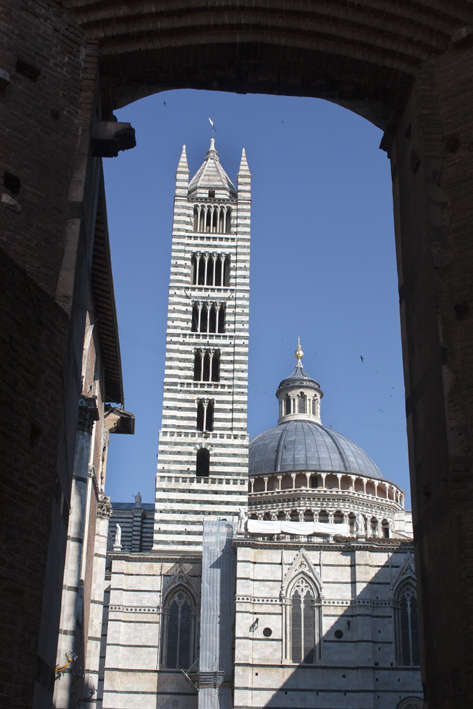 IMG_2540b.jpg