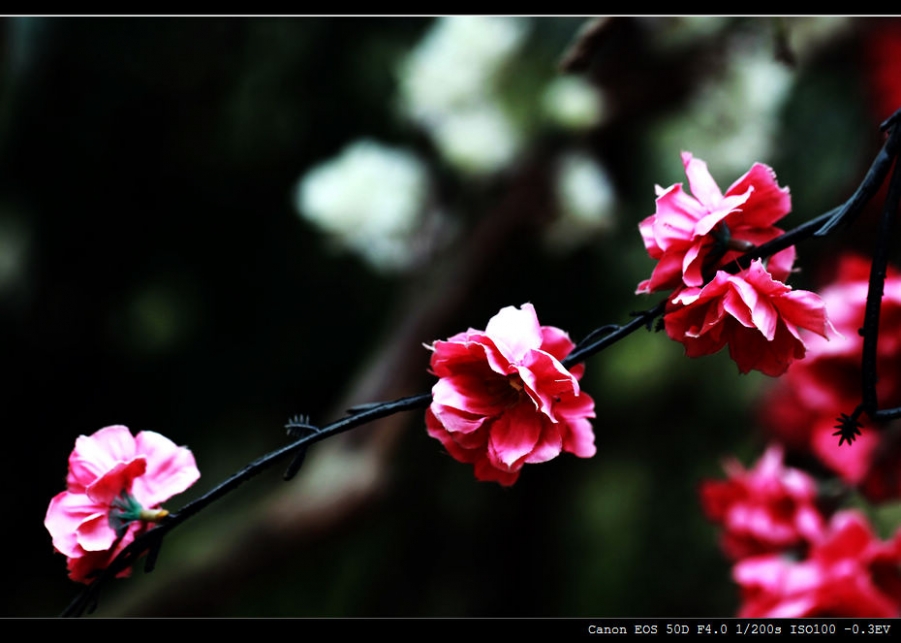 照片12 014.jpg