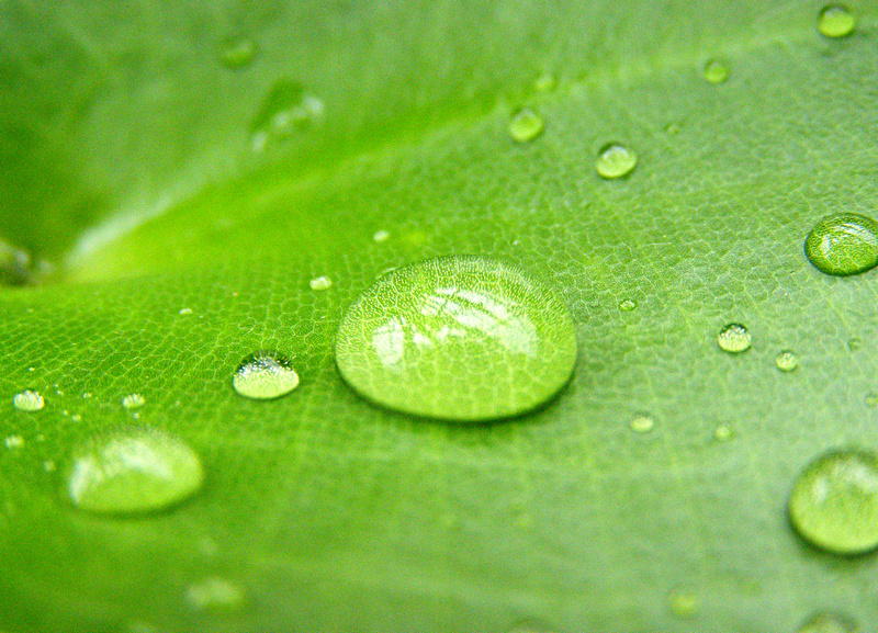 P71700631_副本.jpg