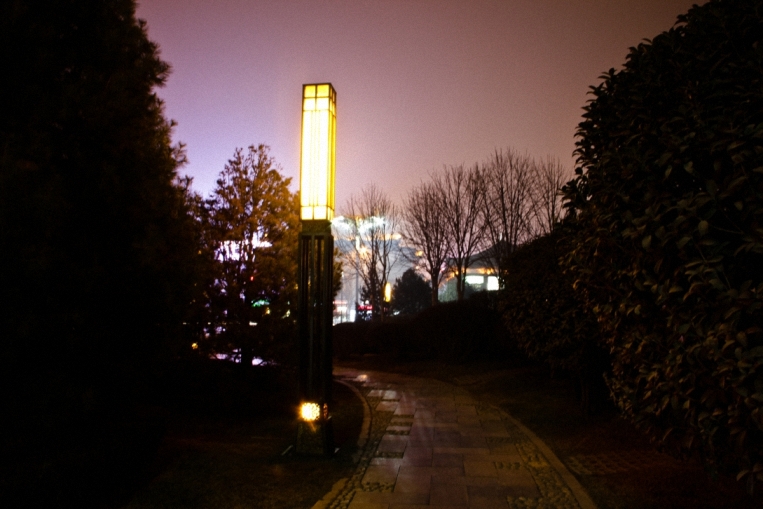 IMG_2360.jpg