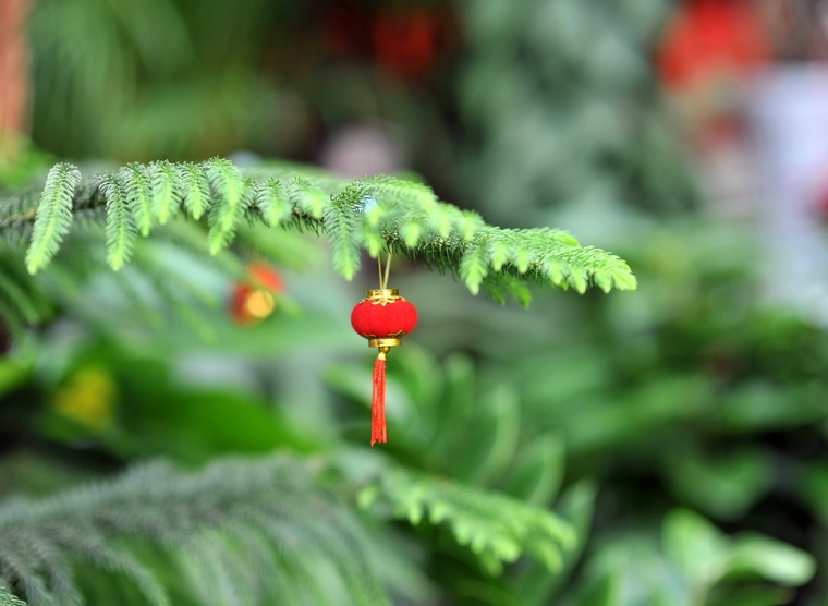 DSC_8680.jpg
