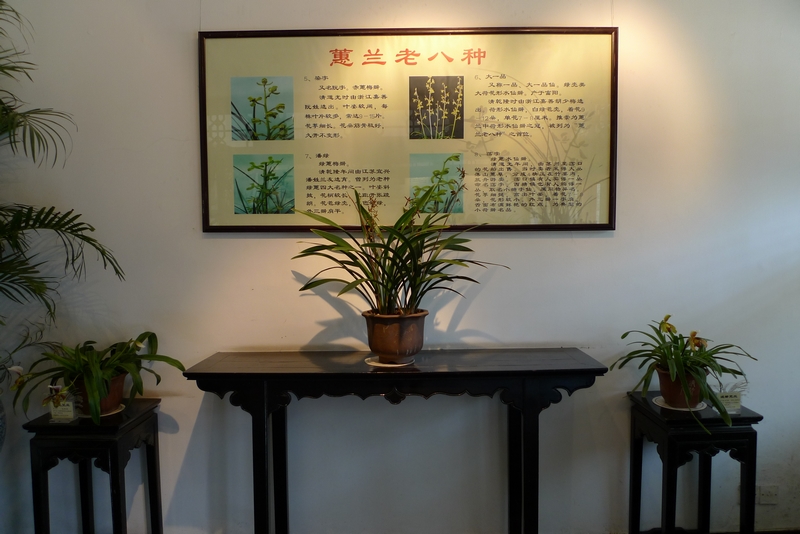 L1050423.jpg