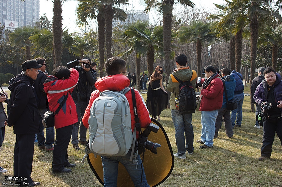 DSC01095-1.jpg