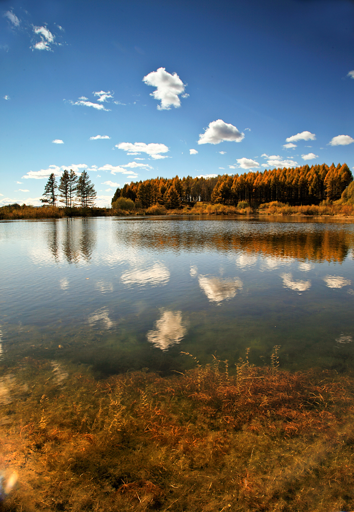 _MG_0414.jpg
