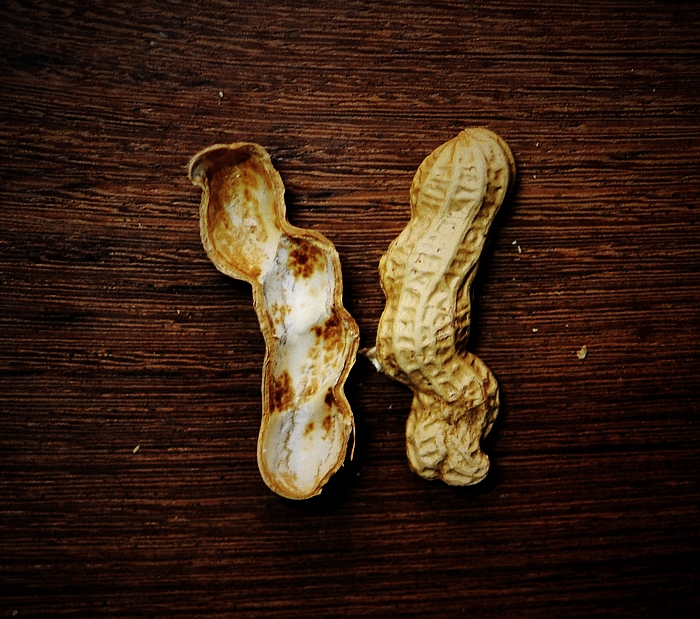 DSC_0012.JPG