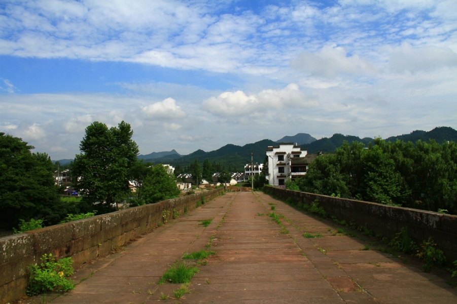 IMG_6119.jpg