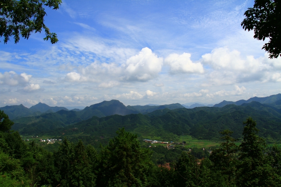 IMG_6152.jpg