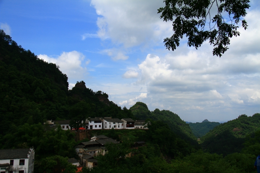 IMG_6212.jpg