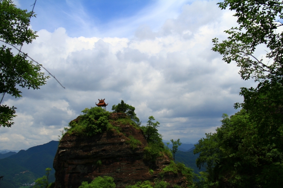 IMG_6213.jpg