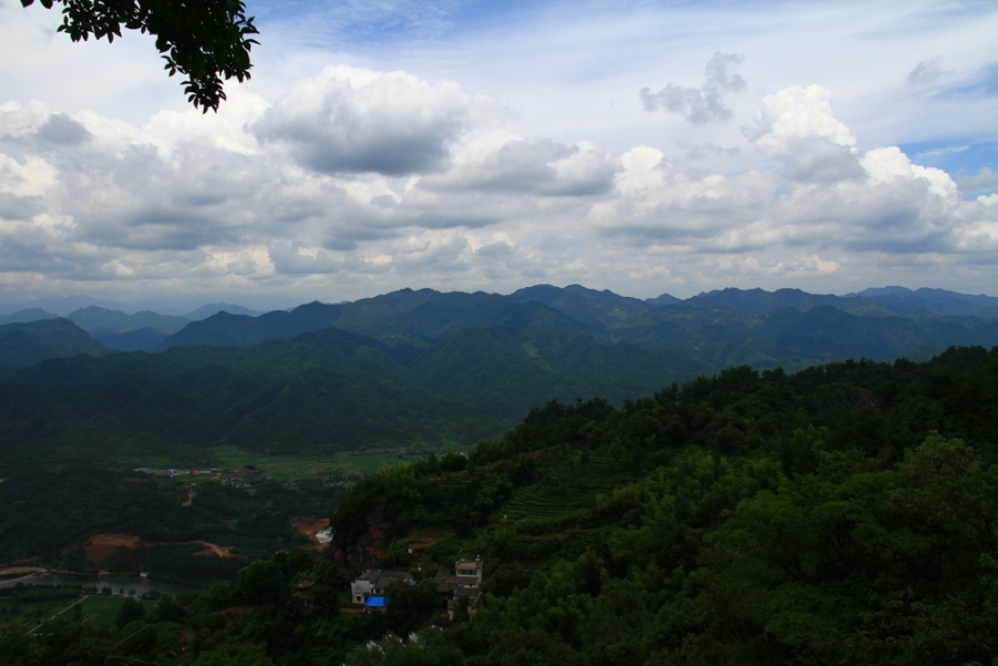 IMG_6235.jpg