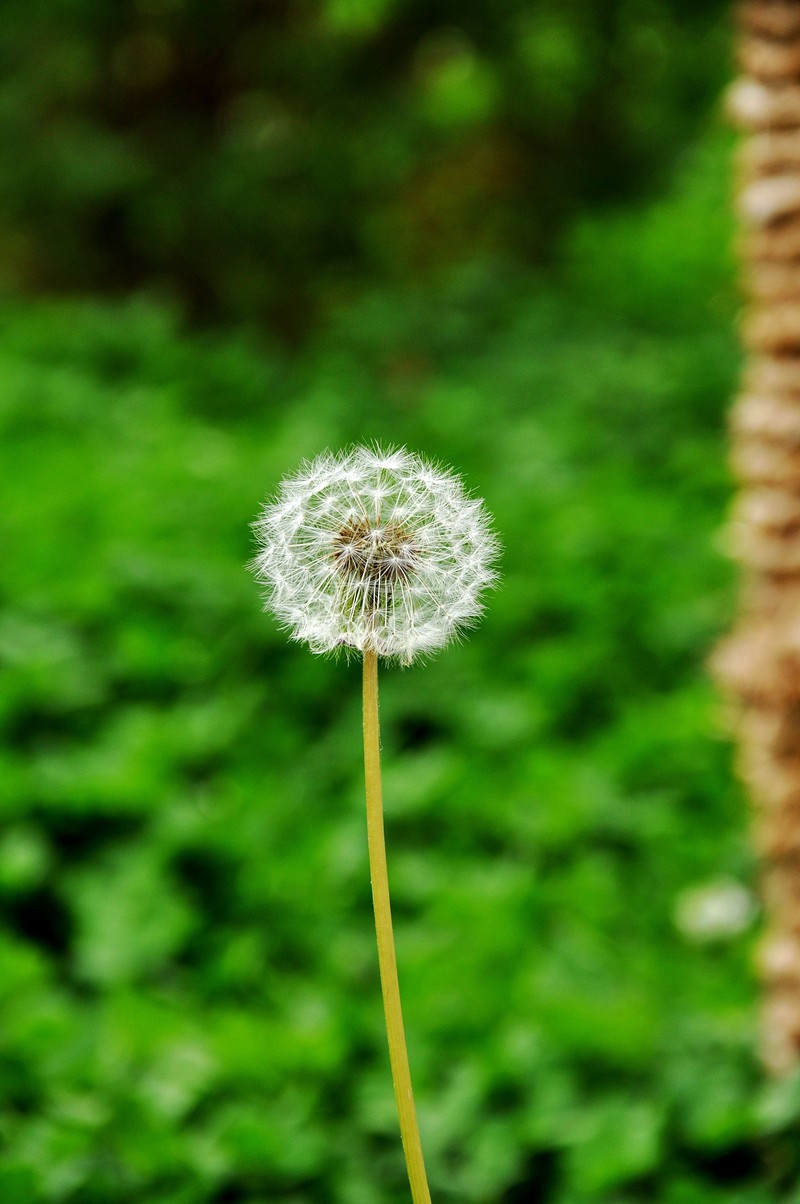 a8015965_s.jpg