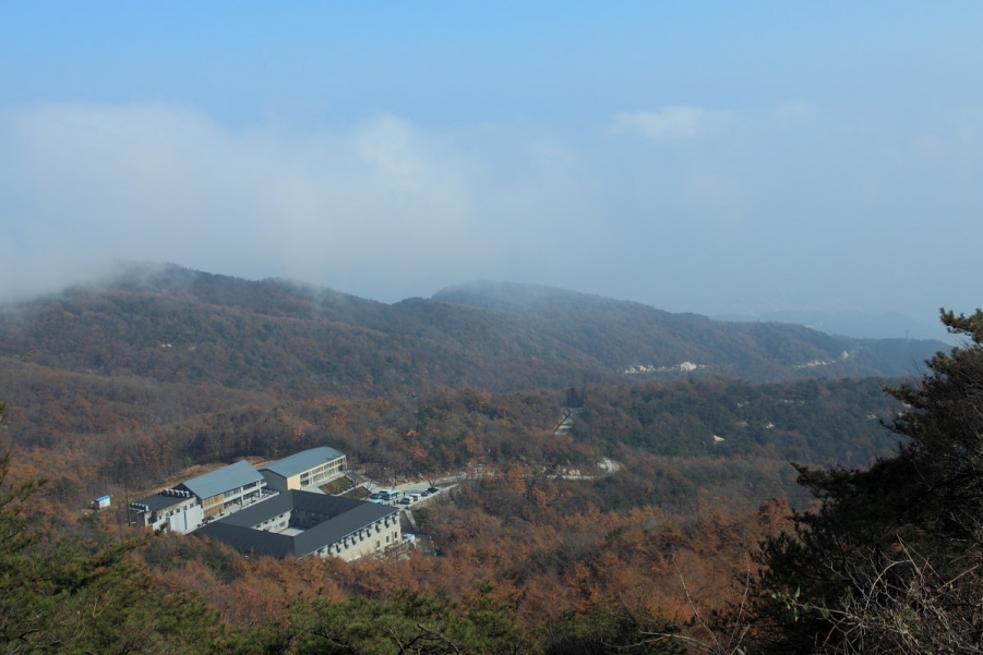 _MG_9668.jpg