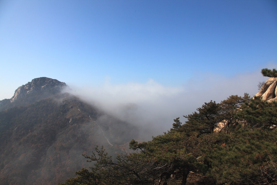 _MG_9751.jpg