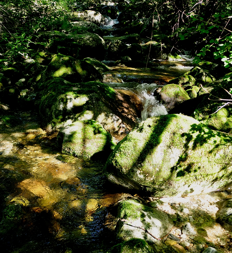 DSC_0036.jpg