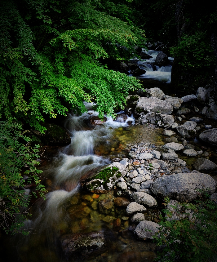 DSC_0110.jpg
