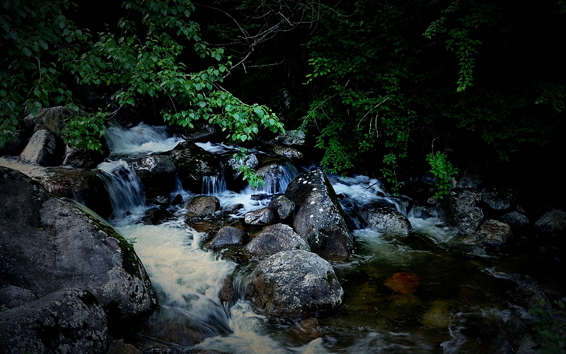 DSC_0128.jpg
