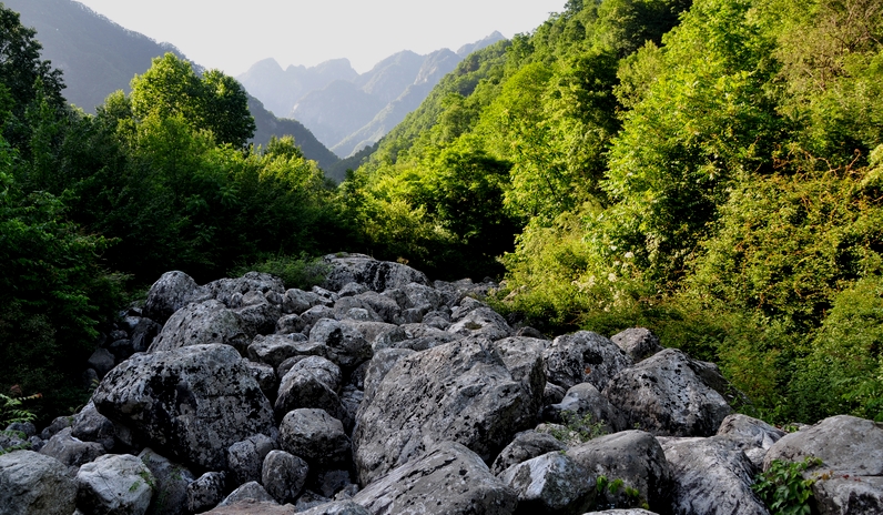 DSC_0115.jpg