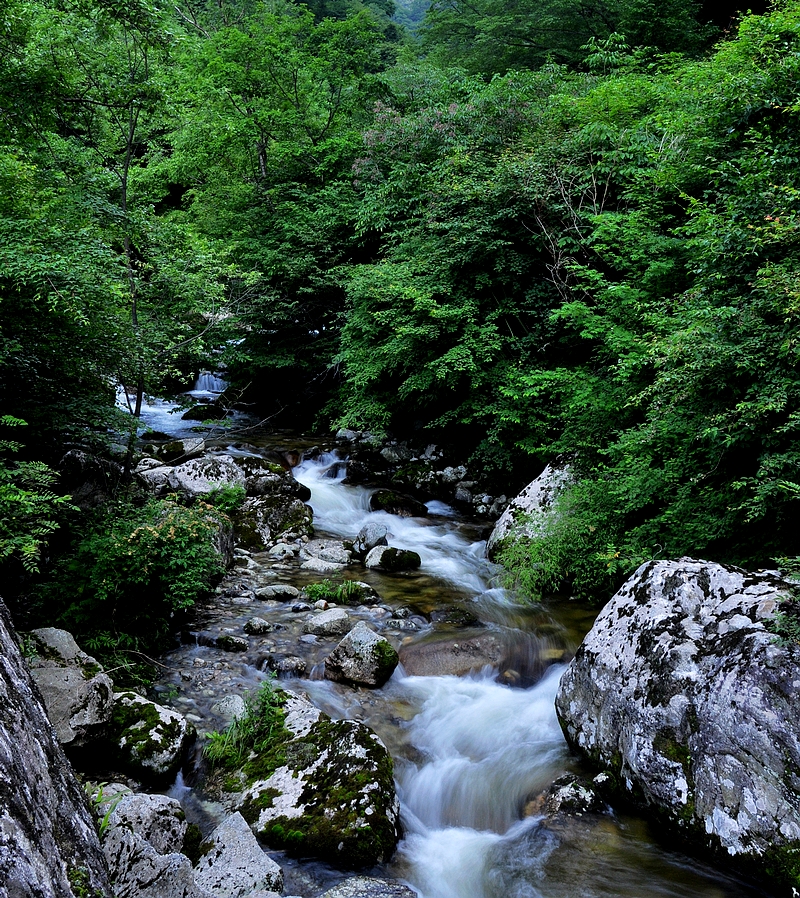 DSC_0140.jpg