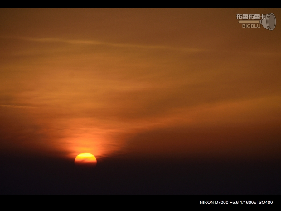 DSC_3484.jpg