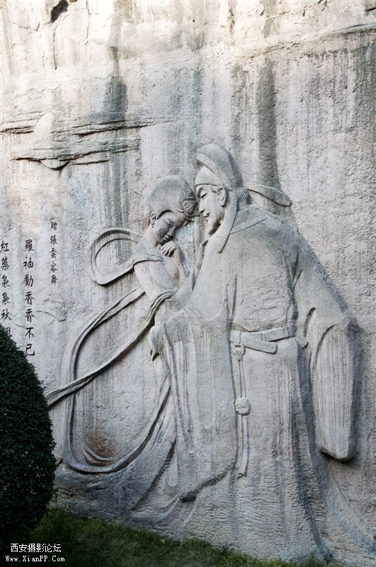 芙蓉印象7.jpg