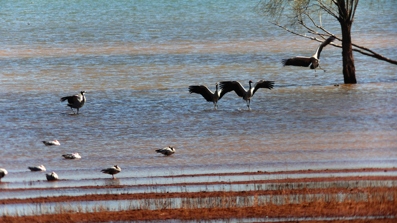 DSC_1148s.jpg