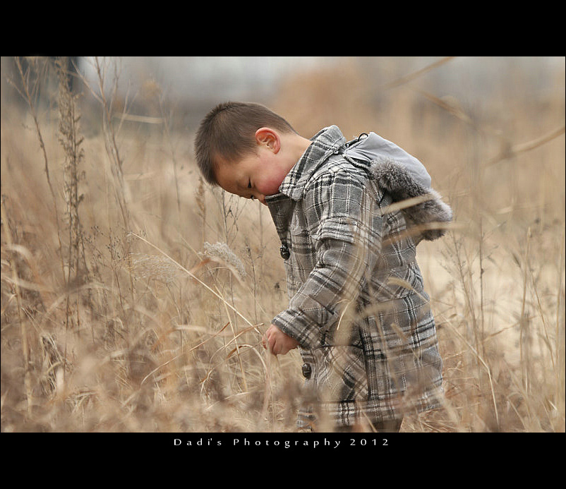 IMG_3618 800.jpg