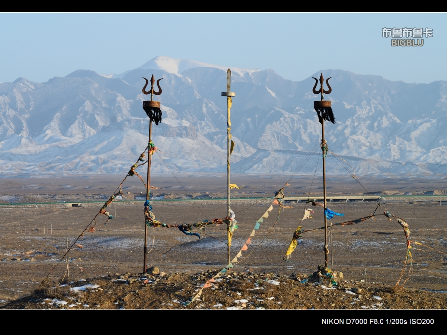 DSC_4236.jpg