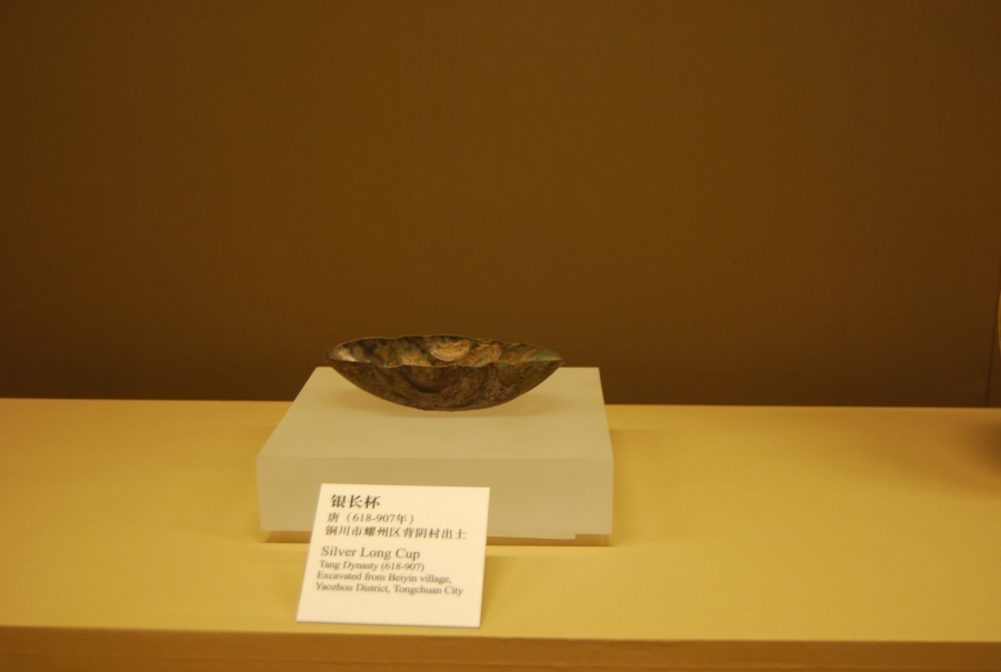 DSC_8864.JPG
