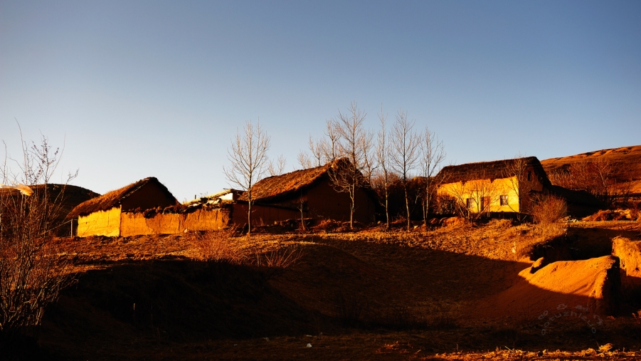 DSC_1680s.jpg