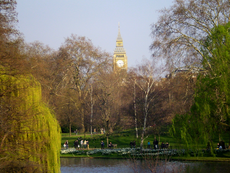 P3310054.jpg