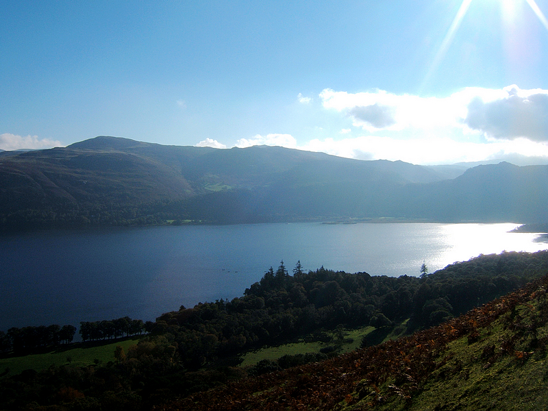 dscf0786.jpg