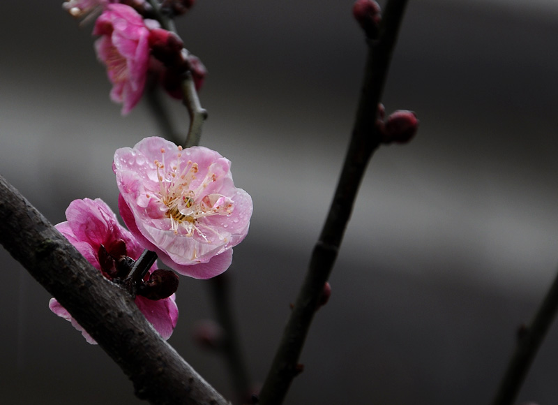 _DSC0057 复制-1.jpg