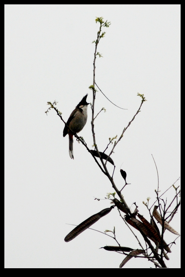 DSC_0676.jpg