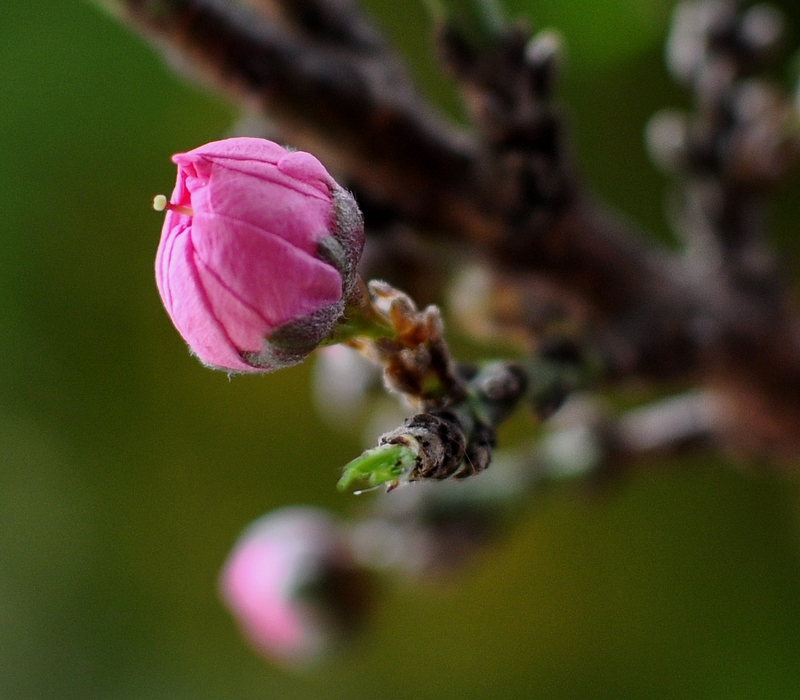 DSC_0164.jpg