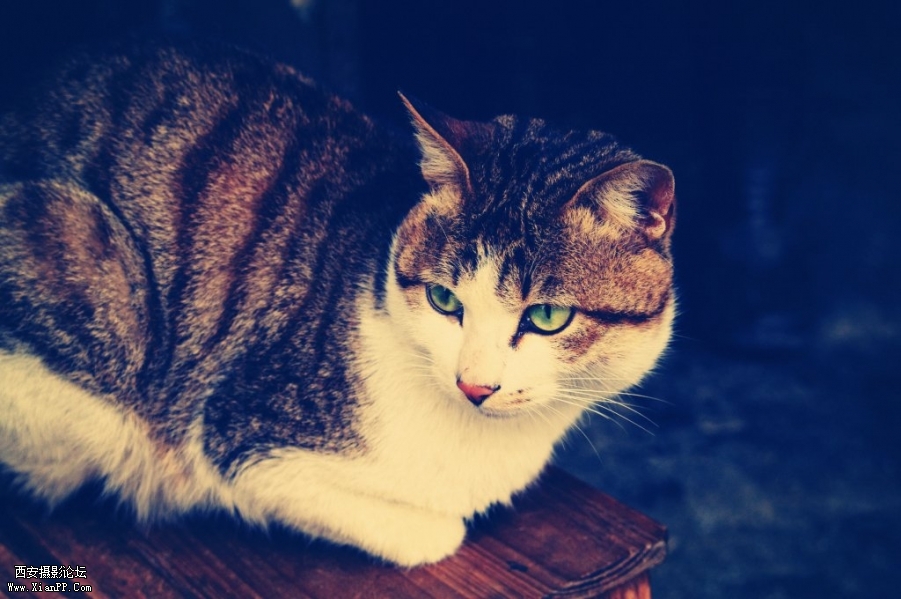 20120305171023.jpg