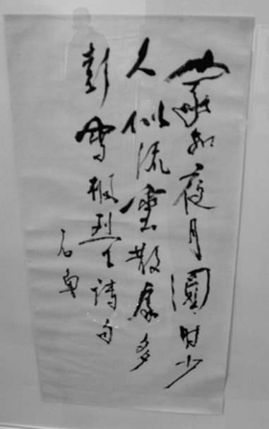DSC_9241_副本.jpg