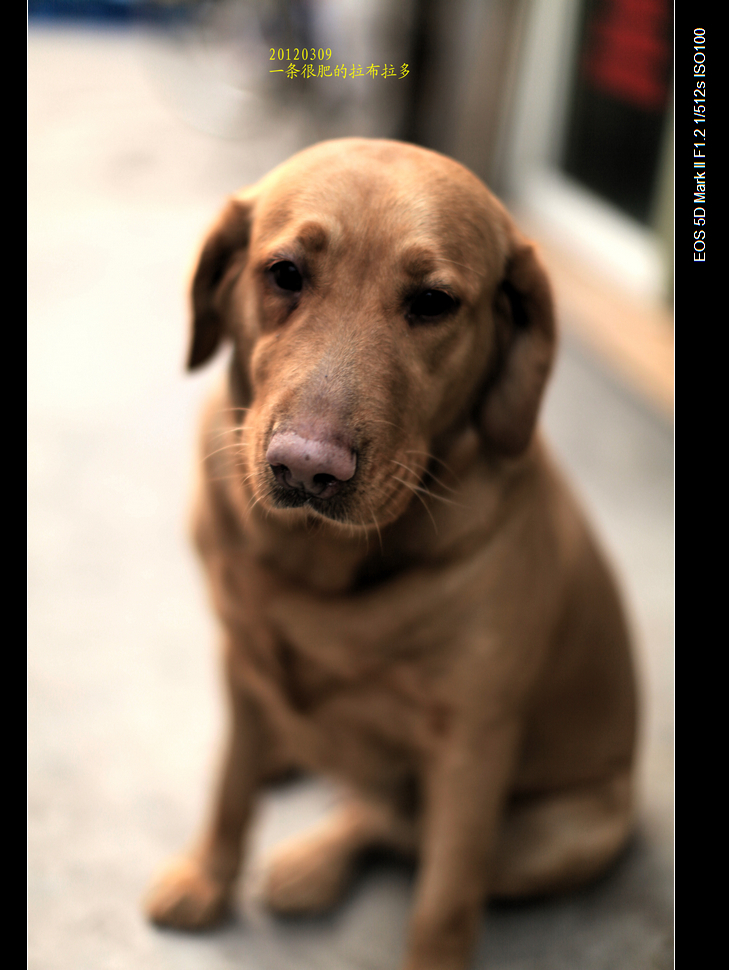 nEO_IMG_IMG_7373.jpg