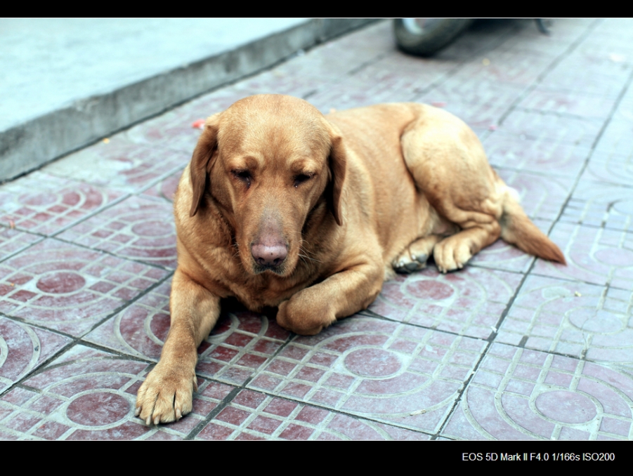 nEO_IMG_IMG_7382.jpg