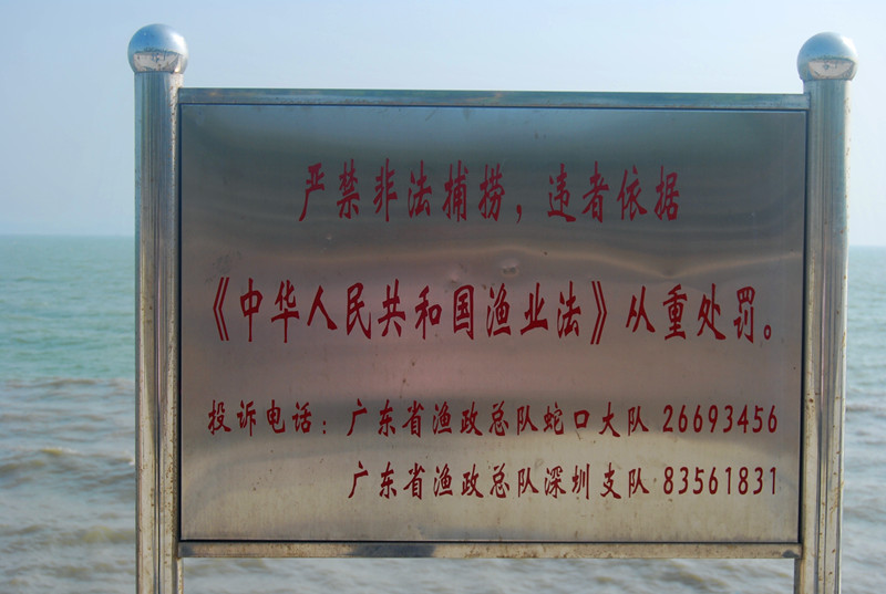 DSC_1071_副本.jpg