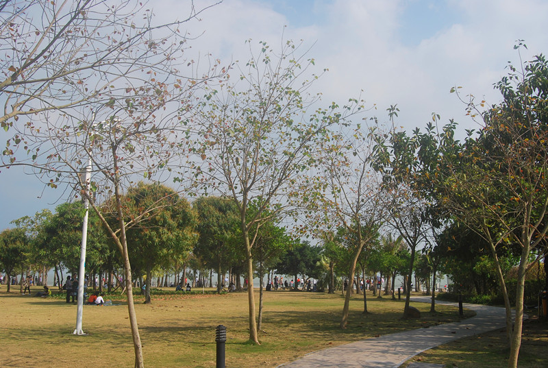 DSC_1027.jpg