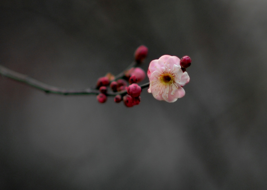 DSC_0003.JPG