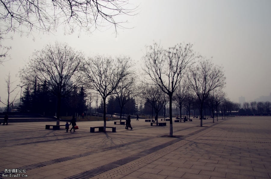 IMGP3900_副本.jpg