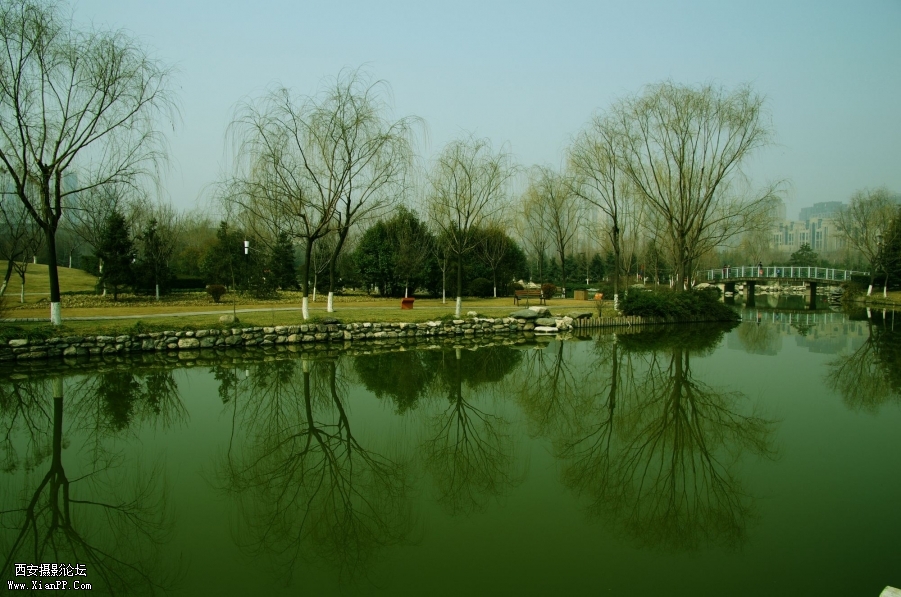 IMGP3902_副本.jpg