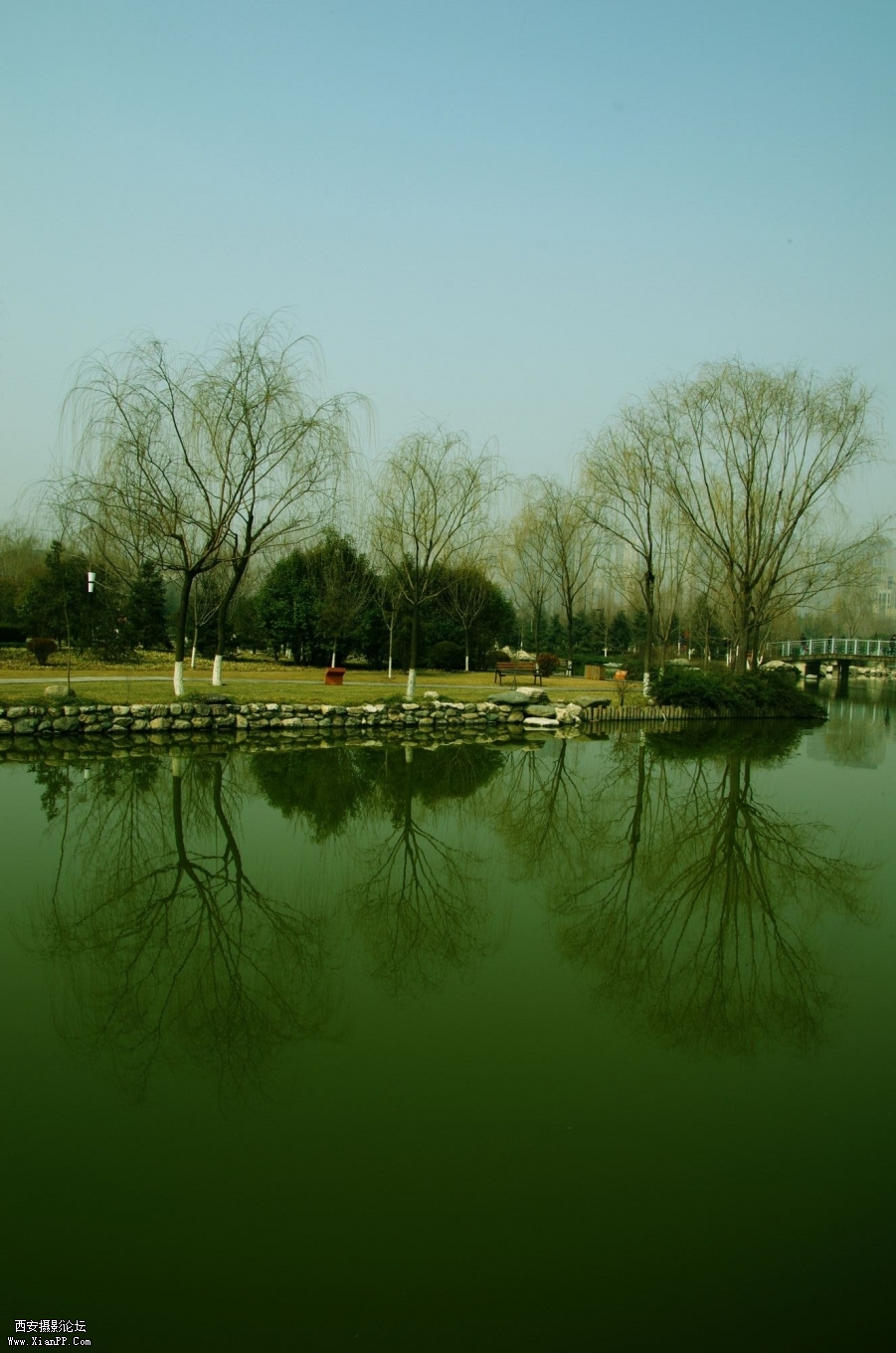 IMGP3903_副本.jpg