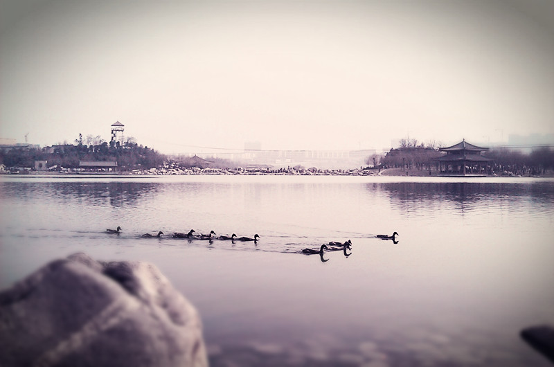 c360_2012-03-11-15-34-58_副本.jpg