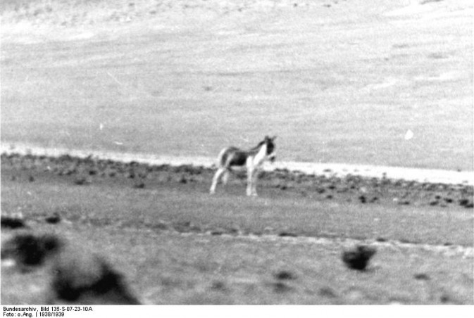 bundesarchivbild135s072-673x452.jpg