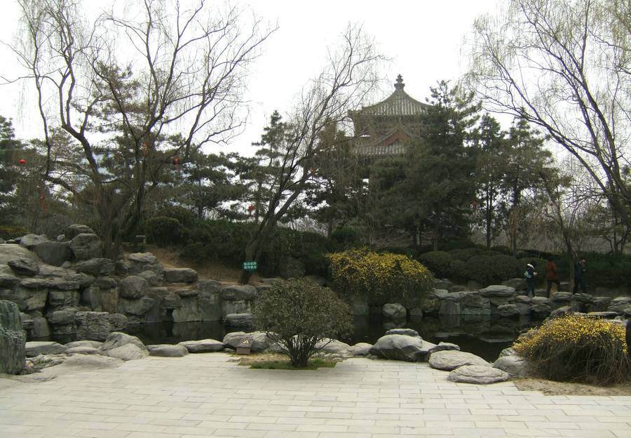 DSCF2418.JPG